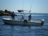 Capt Paul lands a fish